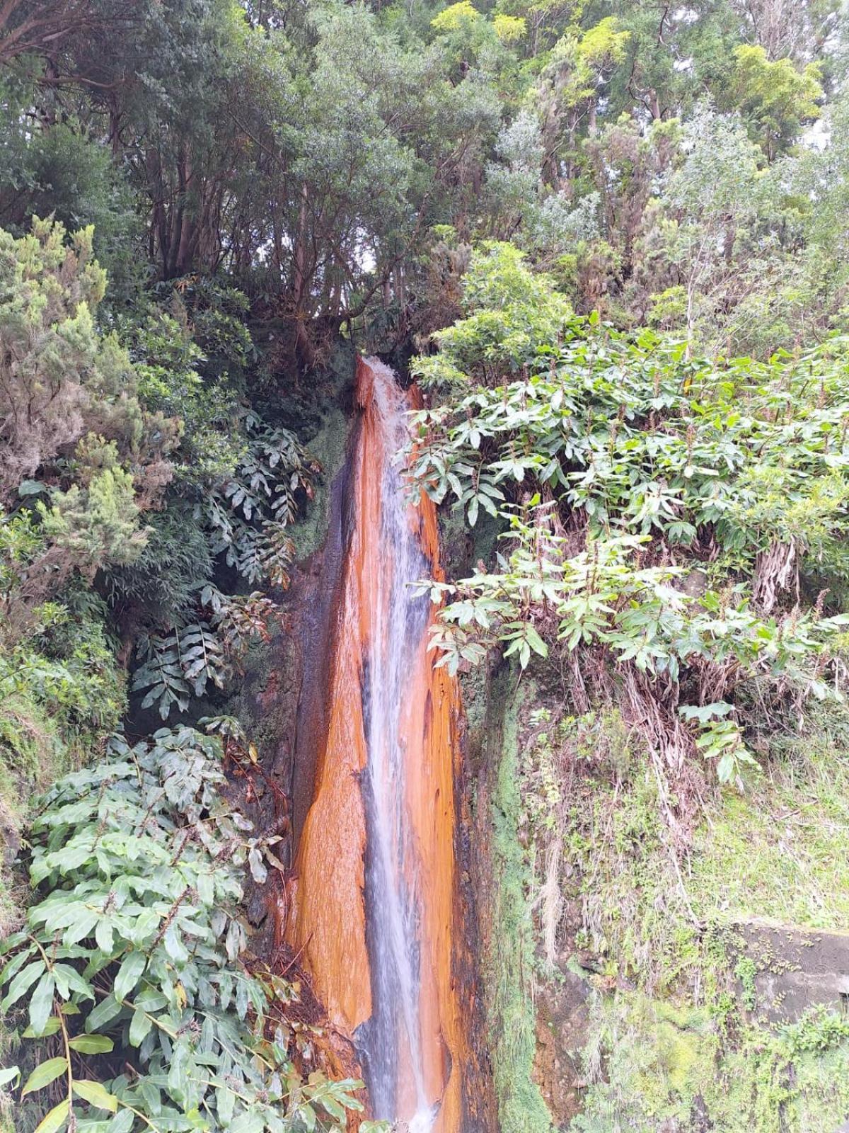 A Caminho Da Ilha Leilighet Ponta Delgada Eksteriør bilde